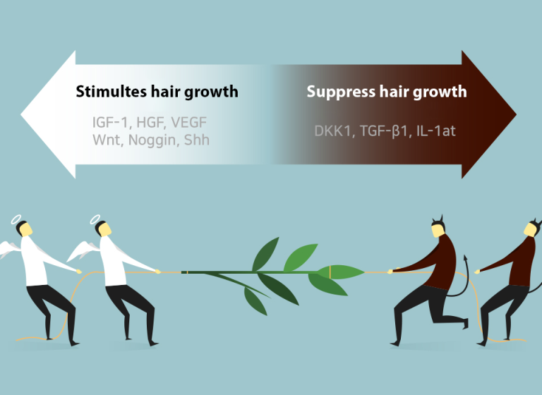 hair transplant korea signal transmitters